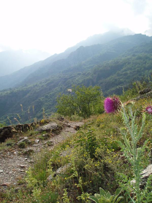 Youri - Ecrins 2005 409 
